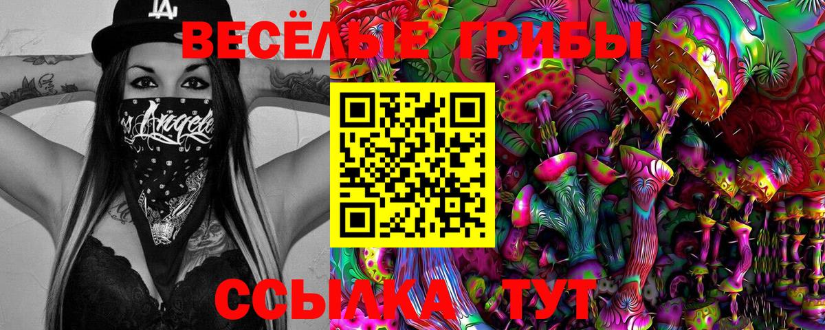 Галлюциногенные грибы мицелий Гулькевичи